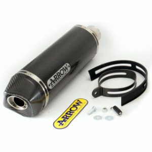 アロー KAWASAKI Z 750 07/11-Z 800 HOMOLOGATED CARBON RACE-TECH SILENCER WITH …