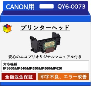 【中古】【エコプリ保証】再生品 Canon プリントヘッド QY6-0073 iP3600/MP540/MP550/MP560/MP620対応 印字不良/印刷不良改善 エコプリオ