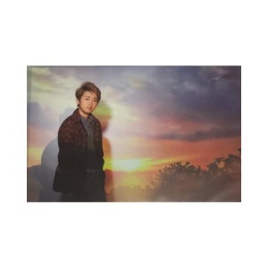 嵐 (ARASHI) ・【クリアファイル】大野智・ ・Beutiful World　Tour・ コンサート会場販売販グッズ