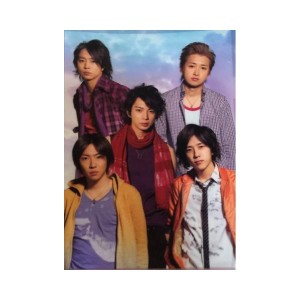 嵐 (ARASHI)【クリアファイル】・集合　☆ Dream A Live Tour・・ コンサート会場販売グッズ