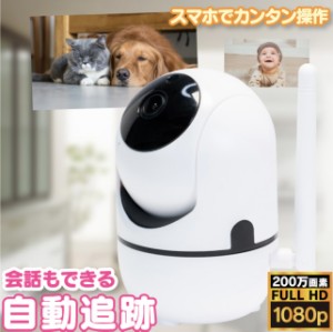 「三太郎の日」防犯カメラ 見守りカメラ ベビーモニター 屋外 家庭用 wifi ペットカメラ 監視カメラ 日本語説明書 遠隔カメラ ネットワー