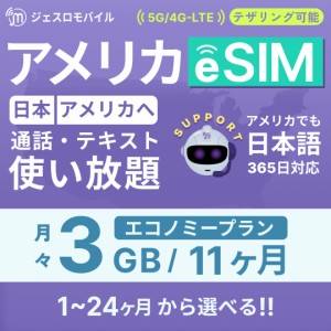 e-SMP20-11