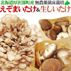 舞茸 えぞ まいたけ・生しいたけ 詰め合わせ 北海道産 国産 マイタケ シイタケ 椎茸 お取り寄せ きのこ