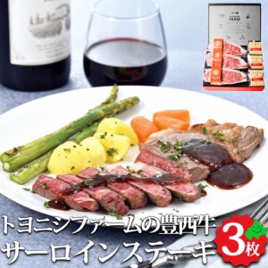 豊西牛 サーロインステーキ 3枚入（160g×3枚） 特製ソース付き 北海道産 お肉 牛肉 トヨニシファーム 送料無料 冷凍 お取り寄せ ご当地 