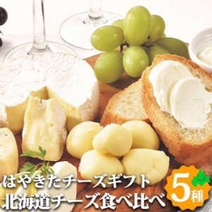 北海道 チーズ はやきたチーズセット 5種類 ギフト カチョカバロ モッツァレラ カマンベール クリームチーズ 詰め合わせ 冷蔵