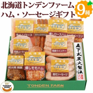 トンデンファーム ソーセージ ベーコン ハム 焼豚 ギフト 9種9点セット 詰め合わせ FG-F 北海道 ギフト 肉 送料無料 冷蔵