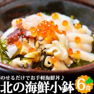 北海道 海鮮丼 北の海鮮小鉢 6種セット 甘えび ほたて つぶ いか たこ ほっき 小鉢 おつまみ お取り寄せ ギフト 冷凍 北海道 海鮮
