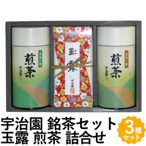 宇治園 お茶 日本茶 銘茶 ギフト 3種  玉露 煎茶 詰め合わせ HM-40