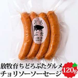 チョリソーソーセージ 4本入り 計120g 泥豚 放牧豚 豚肉 ウインナー ソーセージ 冷蔵 お取り寄せ どろぶた 北海道 十勝 エルパソ