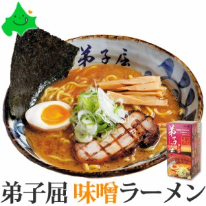 弟子屈（てしかが） 味噌ラーメン  北海道 味噌 ラーメン セット 2食入 お取り寄せ 生麺 さがみ屋 ポスト投函