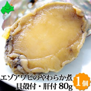 エゾアワビのやわらか煮 貝殻つき・肝つき 80g×1個 北海道産 ギフト梱包不可 お取り寄せ 北海道 煮あわび あわび 肝 鮑
