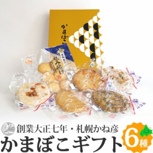 かまぼこ かね彦 蒲鉾 6種 詰め合わせ 弁当つまみのお手軽セット イカ チーズ 丸天 きんぴら アスパラ 包み揚げ 北海道