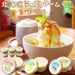 北海道 十勝 カウベル アイスクリーム ギフト 3種類 9個セット いつもありがとうパッケージ  バニラ メロン お取り寄せ スイーツ