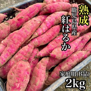 芋屋さんが送る【熟成】鹿児島県産 紅はるか2kg さつまいも 訳あり 干し芋