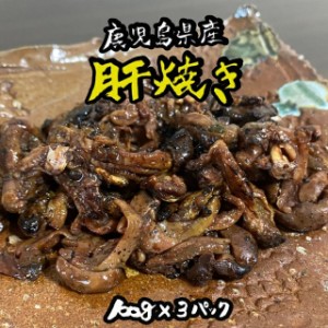 絶品 珍味【大隅うなぎ】肝焼き 100g×3 おつまみ 鰻蒲焼 スルメ好きに うなぎ 国産