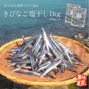 送料無料   きびなご塩干し 1kg キビナゴ おつまみ おかず 干物 干し物 鹿児島県産 ご当地 グルメ お取り寄せ ギフト 特産品   産地直送 