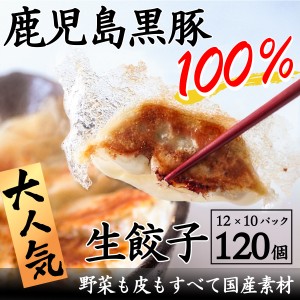 送料無料   かごしま黒豚100％使用 もちもち黒豚生餃子120個 ぎょうざ ギョーザ 鹿児島県産 ご当地 グルメ お取り寄せ ギフト   特産品  