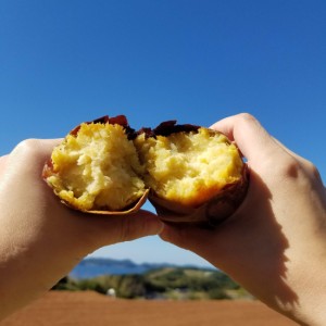 送料無料   紅はるか 焼き芋 （1袋400g×3袋） さつまいも 鹿児島県産 長島町 熟成 芋お取り寄せ ギフト 特産品 産地直送 鹿児島県産