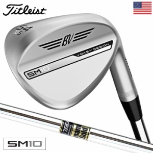 タイトリスト VOKEY SM10 RAW ノーメッキ ウェッジ メンズ 右用 ダイナミックゴールド スチールシャフト Titleist 2024年モデル USA直輸