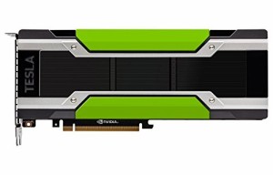 NVIDIA 900-2G610-0000-000 Tesla P40 24GB GDDR5 PCIE 3.0 X16 パッシブ冷却【並行輸入品】