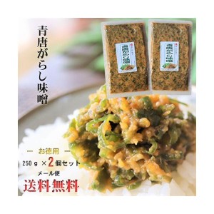 【送料無料】青唐辛子味噌 250g×2個セット 青唐がらし味噌 ご飯のお供 信州味噌  おかず味噌 お酒のおつまみ 万能調味料 季折