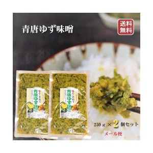 【送料無料】青唐ゆず味噌 2個セット 250g×2個 ご飯のお供 おかず味噌 青唐辛子 柚子 青唐からし味噌 信州味噌 お酒の肴 万能調味料 季