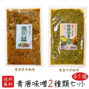 【送料無料】青唐味噌食べ比べ2種類セット 各5個 青唐辛子味噌250g×5個 青唐ゆず味噌250g×5個  母の日 父の日 ご飯のお供 青唐柚子味噌