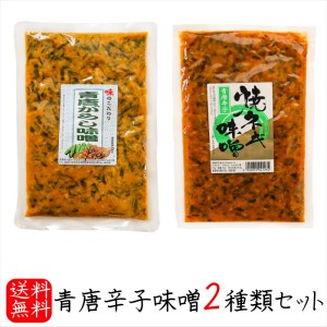 【送料無料】青唐辛子味噌2種類セット 青唐辛子味噌250g 青唐焼ネギ味噌250g  母の日 父の日 ご飯のお供 青唐柚子味噌 信州味噌 ギフト 