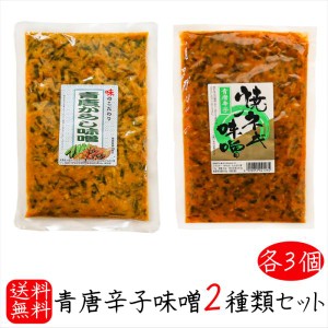 【送料無料】青唐辛子味噌2種類セット 各3個 青唐辛子味噌 250g×3個 青唐焼ネギ味噌250g×3個 母の日 父の日 ご飯のお供 信州味噌 ギフ