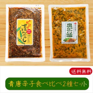 【送料無料】青唐辛子食べ比べ2種類セット 青唐辛子味噌 250g ピリリ青とんがらし 200g 青とんがらし漬け 母の日 父の日 ご飯のお供 信州