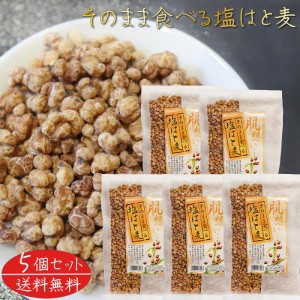 【送料無料】そのまま食べる塩はと麦 180g×5個 焙煎はと麦 おやつ おつまみ ハト麦 食べるはと麦 スナック菓子 うすしお味 ハトムギ 季