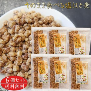 【送料無料】そのまま食べる塩はと麦 180g×6個 焙煎はと麦 おやつ おつまみ ハト麦 食べるはと麦 スナック菓子 うすしお味 ハトムギ 季