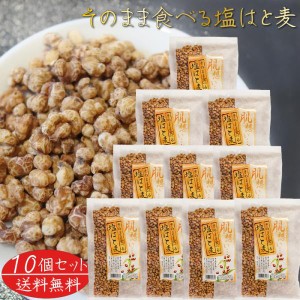 【送料無料】そのまま食べる塩はと麦 180g×10個 焙煎はと麦 おやつ おつまみ ハト麦 食べるはと麦 スナック菓子 うすしお味 ハトムギ 季