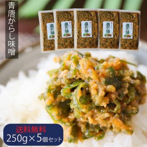 【送料無料】青唐辛子味噌 250g×5個 青唐がらし味噌 ご飯のお供 信州味噌 みそ おかず味噌 お酒の肴 万能調味料 季折