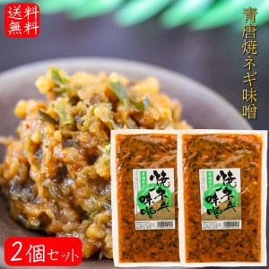 【送料無料】青唐焼ネギ味噌 250g×2個 国内製造味噌使用 青唐辛子 焼きねぎ 青唐がらし味噌 ご飯のお供 信州味噌 青とうがらし 味噌 青