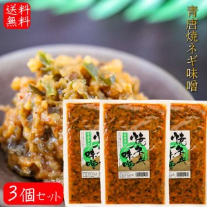 【送料無料】青唐焼ネギ味噌 250g×3個 国内製造味噌使用 青唐辛子 焼きねぎ 青唐がらし味噌 ご飯のお供 信州味噌 青とうがらし 味噌 青