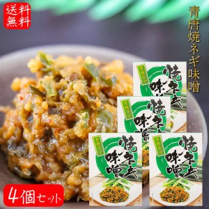 【送料無料】青唐焼ネギ味噌 250g×4個 箱タイプ 国内製造味噌使用 青唐辛子 焼きねぎ 青唐がらし味噌 ご飯のお供 信州味噌 青とうがらし