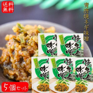 【送料無料】青唐焼ネギ味噌 250g×5個 箱タイプ 国内製造味噌使用 青唐辛子 焼きねぎ 青唐がらし味噌 ご飯のお供 信州味噌 青とうがらし