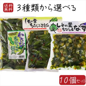 【送料無料】2種類から選べる10個セット しその葉ちびっこ胡瓜350g しその葉ちびっ子なす260g わさびちびっこ胡瓜300g キュウリ なす ナ