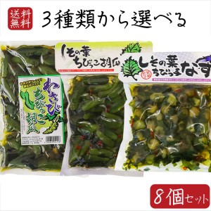 【送料無料】2種類から選べる8個セット しその葉ちびっこ胡瓜350g しその葉ちびっ子なす260g わさびちびっこ胡瓜300g キュウリ なす ナス