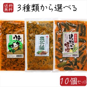 【送料無料】青唐辛子味噌3種類から選べる10個セット 青唐辛子味噌250g  青唐焼ネギ味噌250g 青唐胡瓜ちびっこ味噌260g  ギフト プレゼン