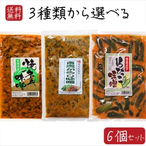 【送料無料】青唐辛子味噌3種類から選べる6個セット 青唐辛子味噌250g  青唐焼ネギ味噌250g 青唐胡瓜ちびっこ味噌260g  ギフト プレゼン