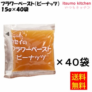 1000円ポッキリ スイーツフラワーペースト（ﾋﾟｰﾅｯﾂ）15gx40袋 カセイ食品業務用 食品 まとめ買い お買い得 大容量 お徳用 お弁当 