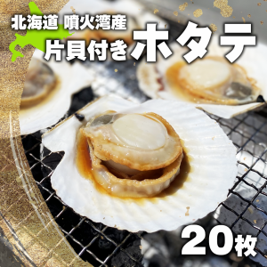 片貝ホタテ 10枚入×2袋 北海道産 噴火湾産 超急速冷凍 ほたて ホタテ 貝柱 冷凍 冷凍食品  人気 おいしい 美味しい おすすめ バーベキュ