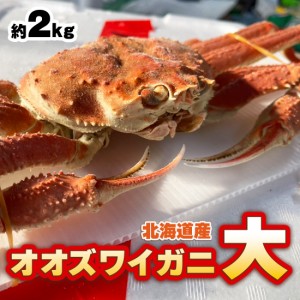 オオズワイガニ（大）訳あり 北海道 噴火湾産 ２kg 400g前後×約4〜5杯 生冷凍　バルダイ種　カニ鍋　カニしゃぶ　焼きガニに　大ズワイ