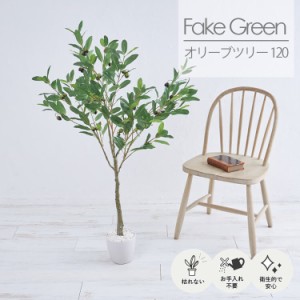 [送料無料]フェイクグリーン 観葉植物 オリーブ ツリー 高さ H 120cm 人工観葉植物 消臭 抗菌 光触媒 インテリア 玄関 寝室 子供部屋 リ