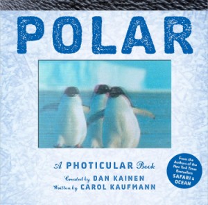 POLAR:A PHOTICULAR BOOK（英語絵本）しかけ絵本　南極　北極　動物　 キャロル・カウフマン　ダン・カイネン　8 〜 11 歳