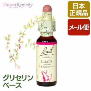 ラーチ（自信）《バッチフラワーレメディ》10ml ［グリセリンベース/アルコール不使用/フラワーエッセンス/日本国内正規品］