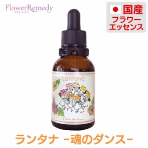 ランタナエッセンス《シャンドゥルール》20ml［国産フラワーエッセンス/グリセリンベース/アルコール不使用/奄美大島］