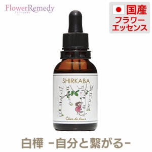 白樺フラワーエッセンス《シャンドゥルール》20ml［国産フラワーエッセンス/グリセリンベース/アルコール不使用］